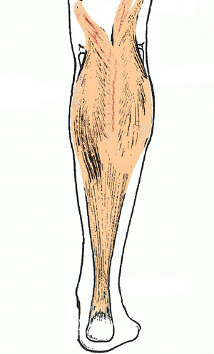 you have plantar fasciitis plantar fasciitis exercises. you have plantar fasciitis