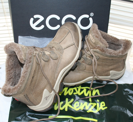 Ecco Terra Ankle Boots